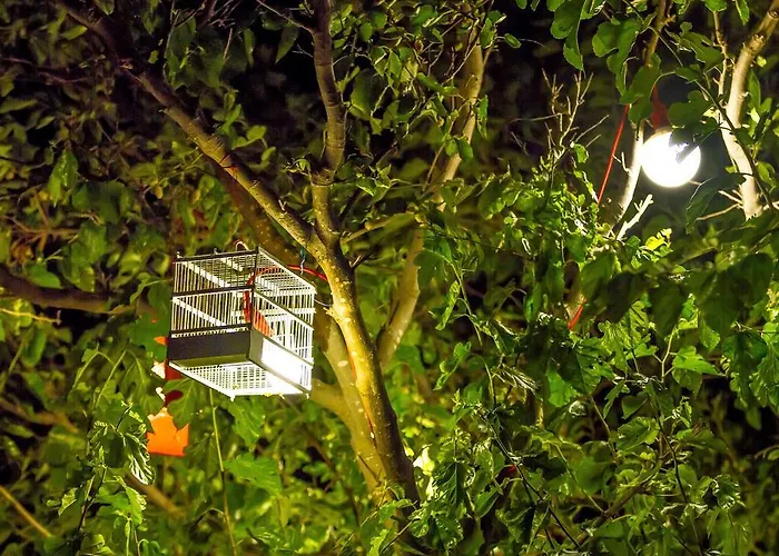 Hotel Zorbas Santorini