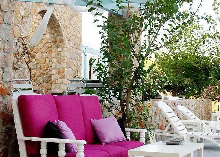 Hotel Zorbas Santorini 3*